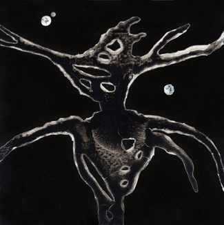 Wounded Galaxies Tap at the Window CD special edition