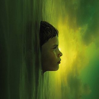 Lucile Hadžihalilović - EVOLUTION DVD